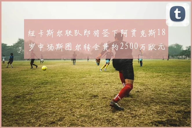 纽卡斯尔联队即将签下阿贾克斯18岁中场斯图尔转会费约2500万欧元