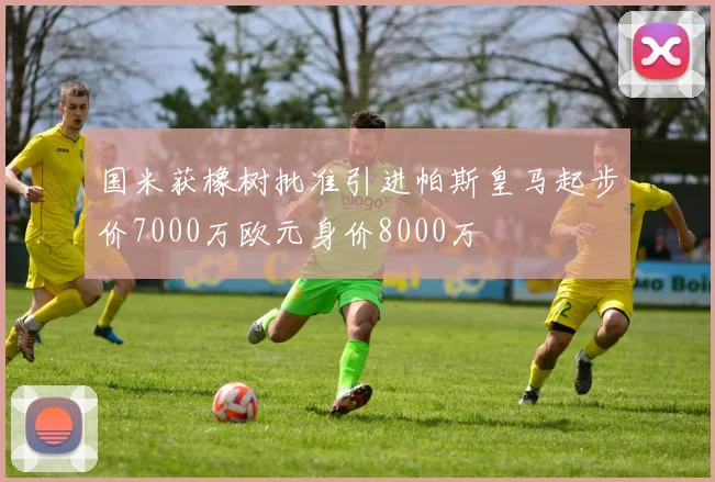 国米获橡树批准引进帕斯皇马起步价7000万欧元身价8000万