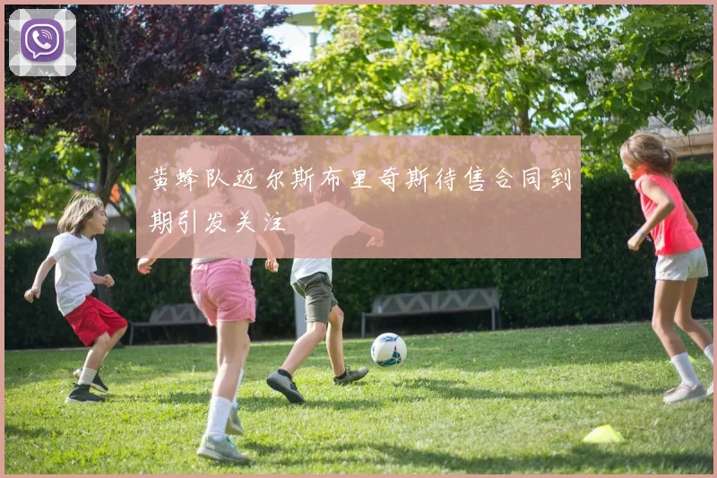 黄蜂队迈尔斯布里奇斯待售合同到期引发关注